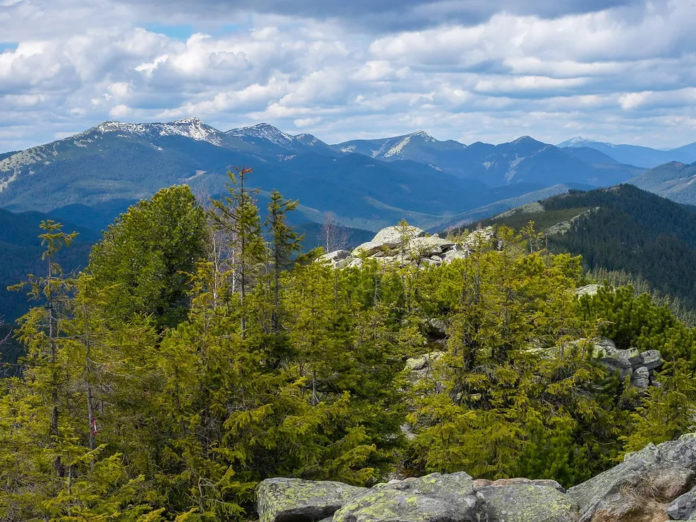 travel program image