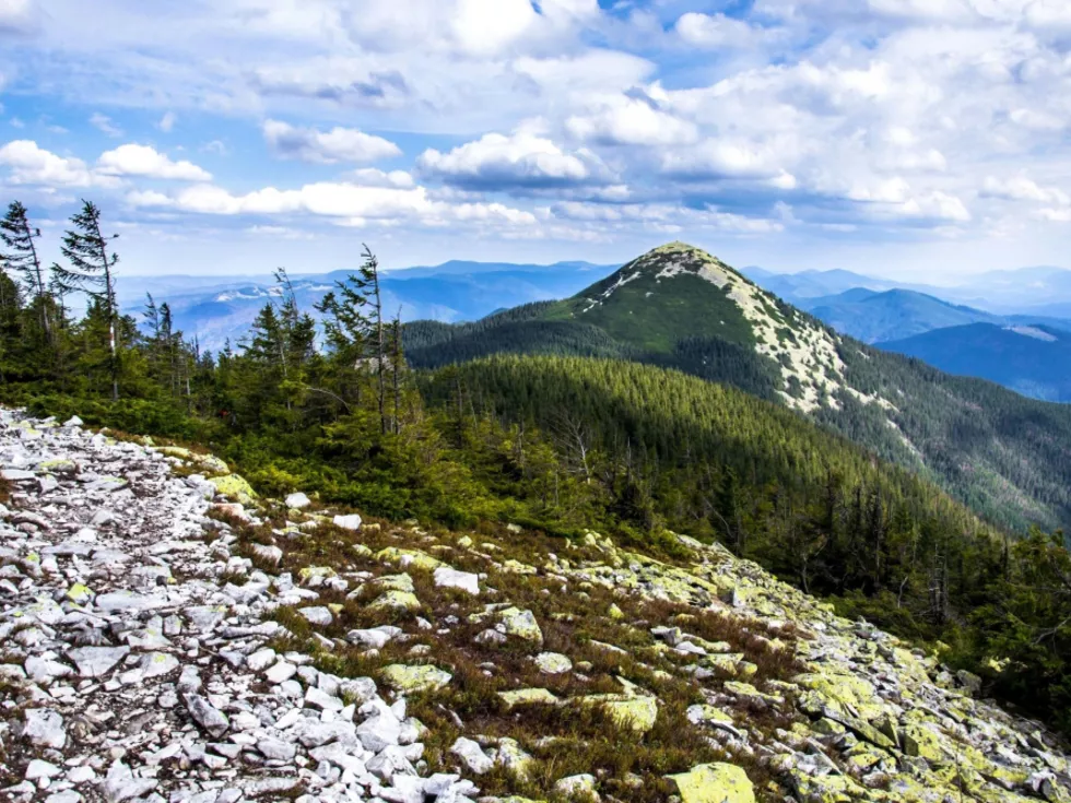 travel program image