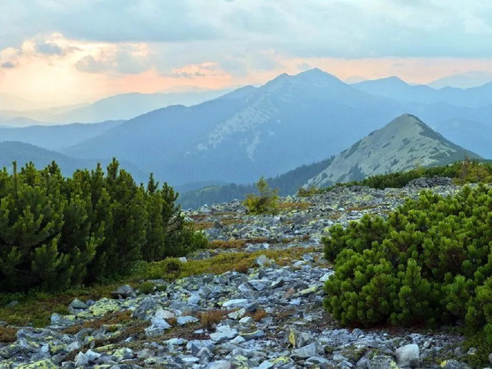 travel program image