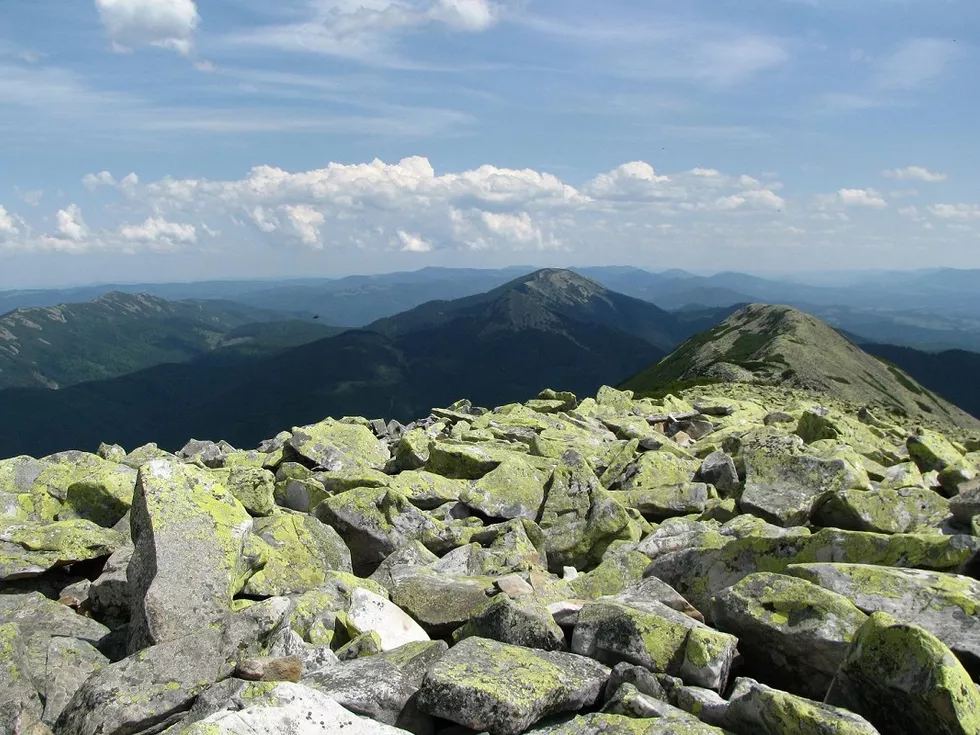 travel program image