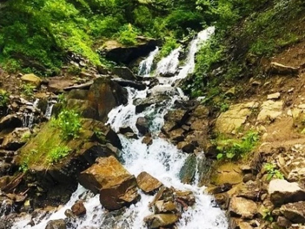 travel program image