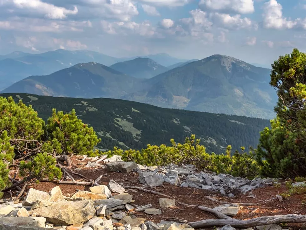 travel program image