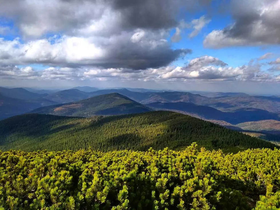 travel program image