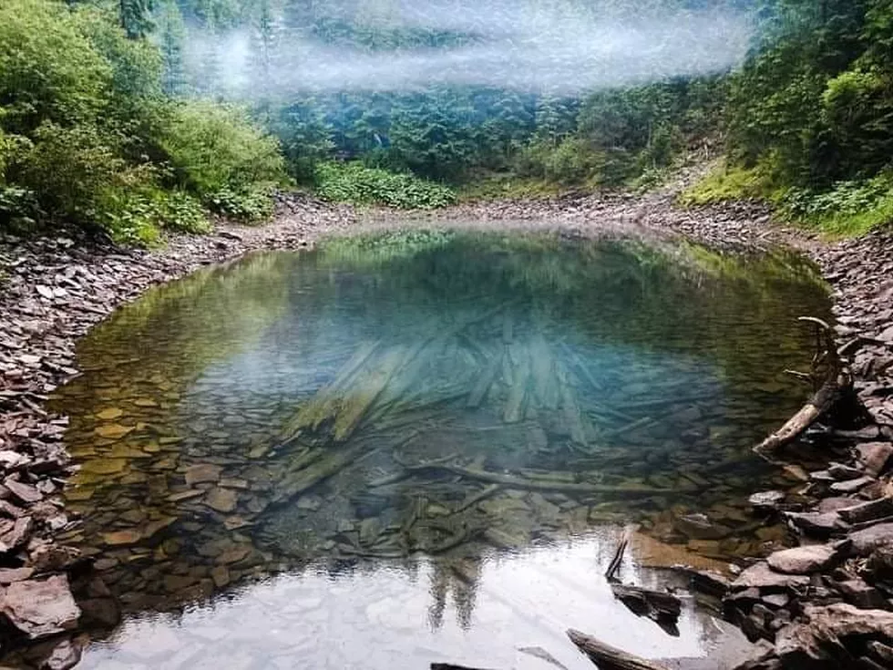 travel program image