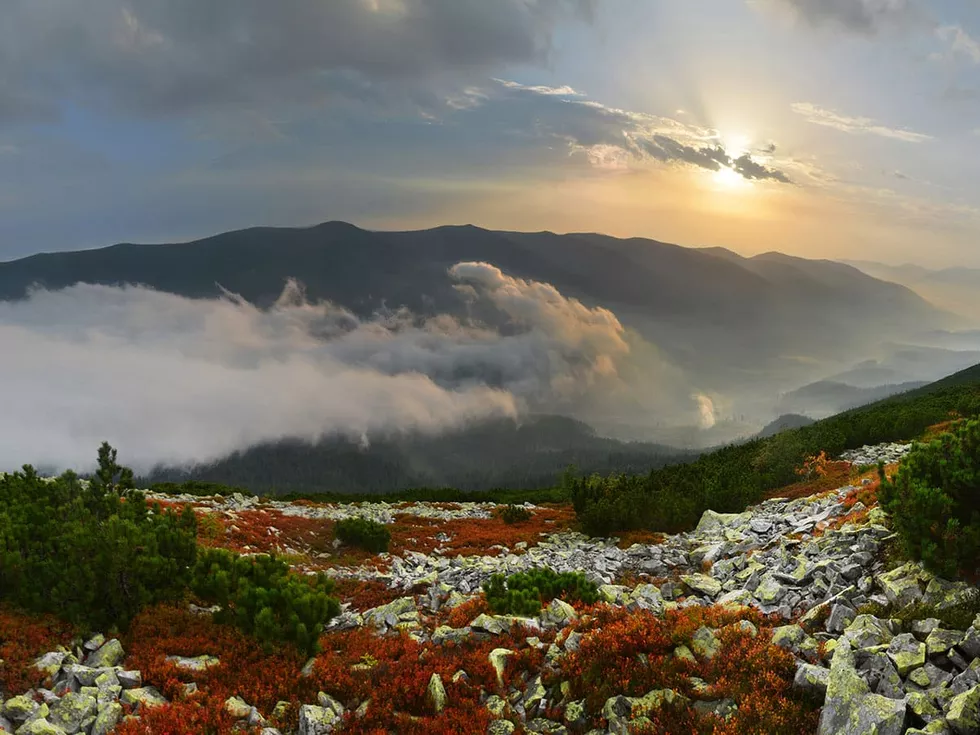 travel program image