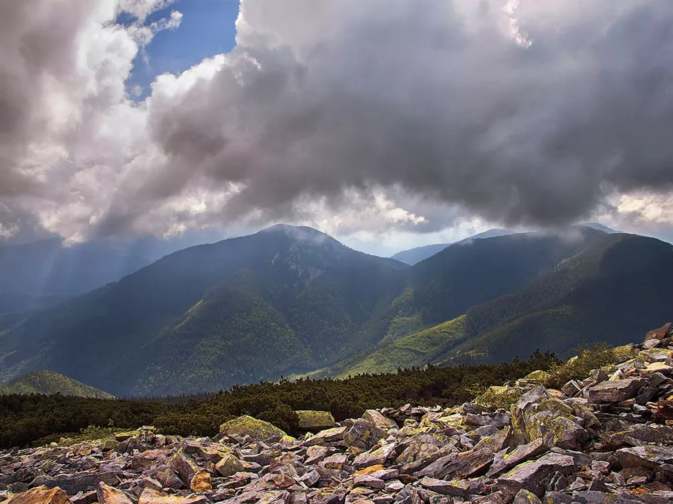 travel program image