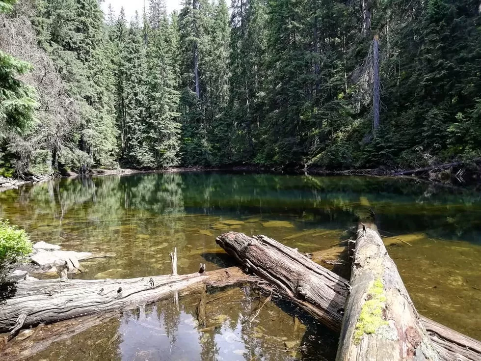 travel program image