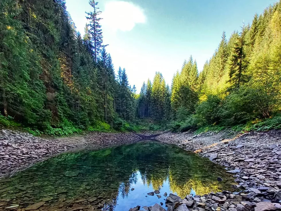 travel program image