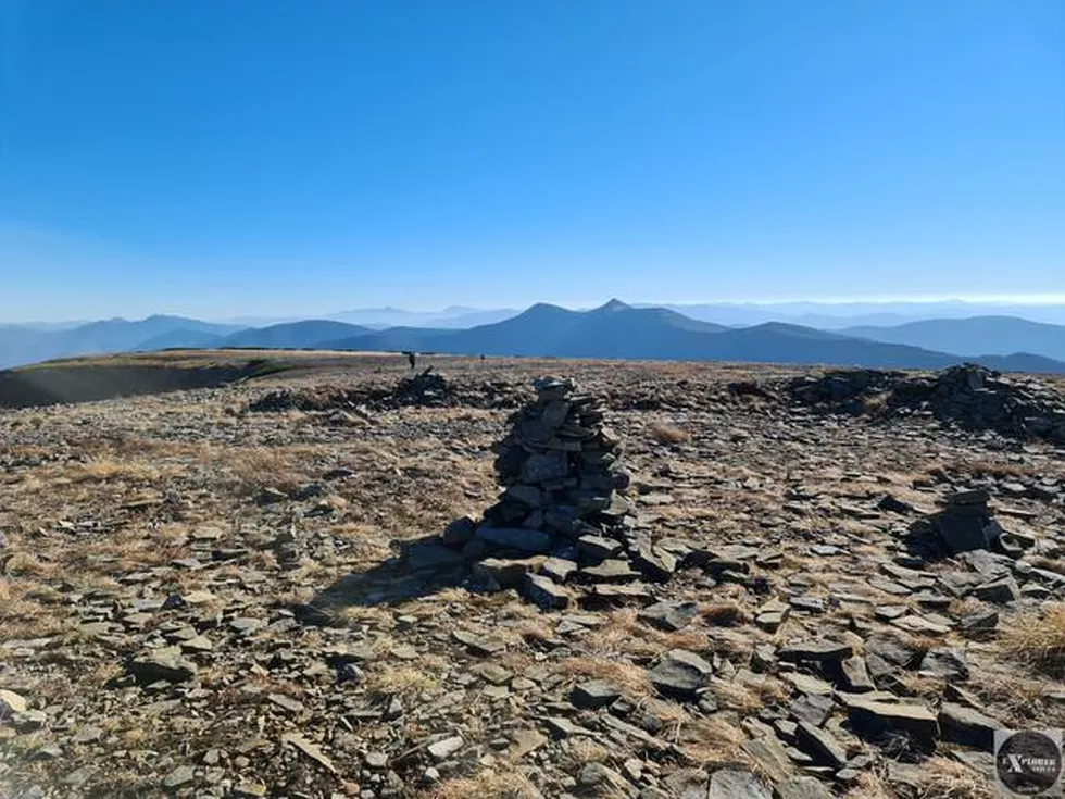 travel program image