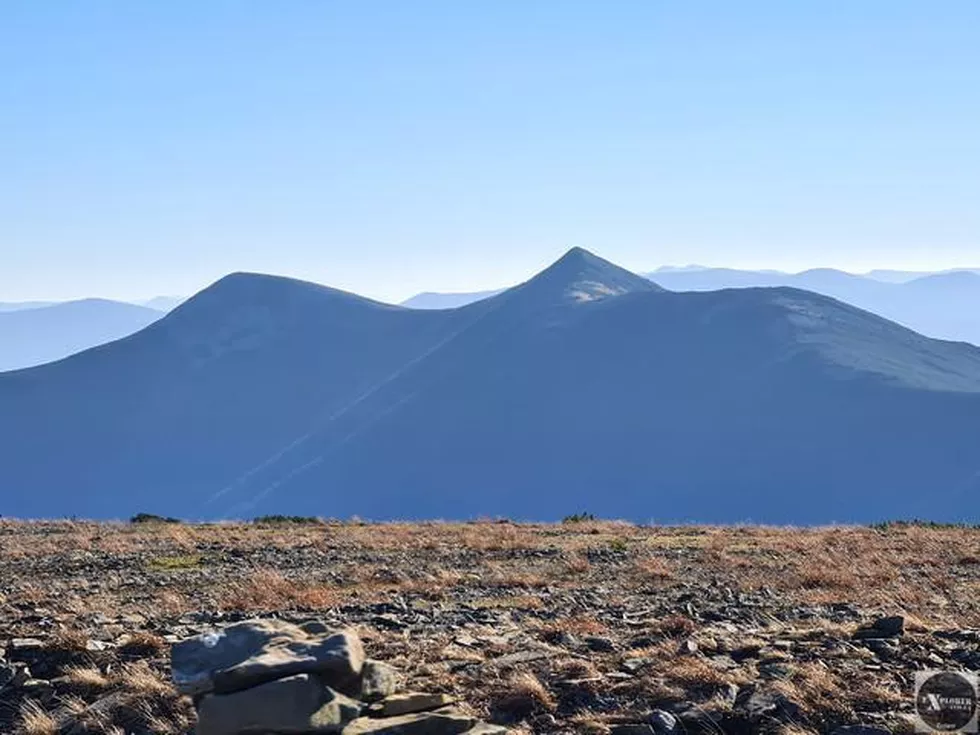 travel program image