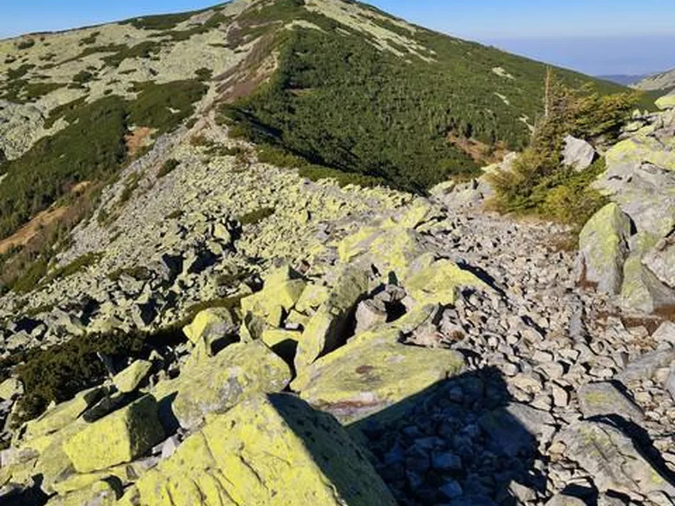 travel program image