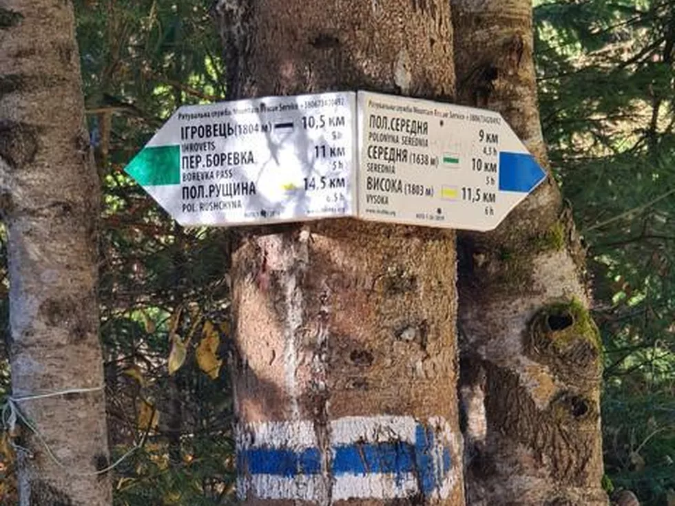 travel program image