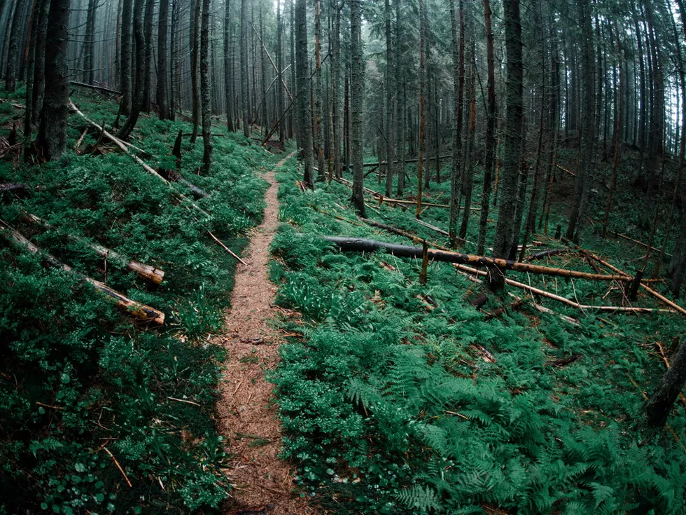 travel program image