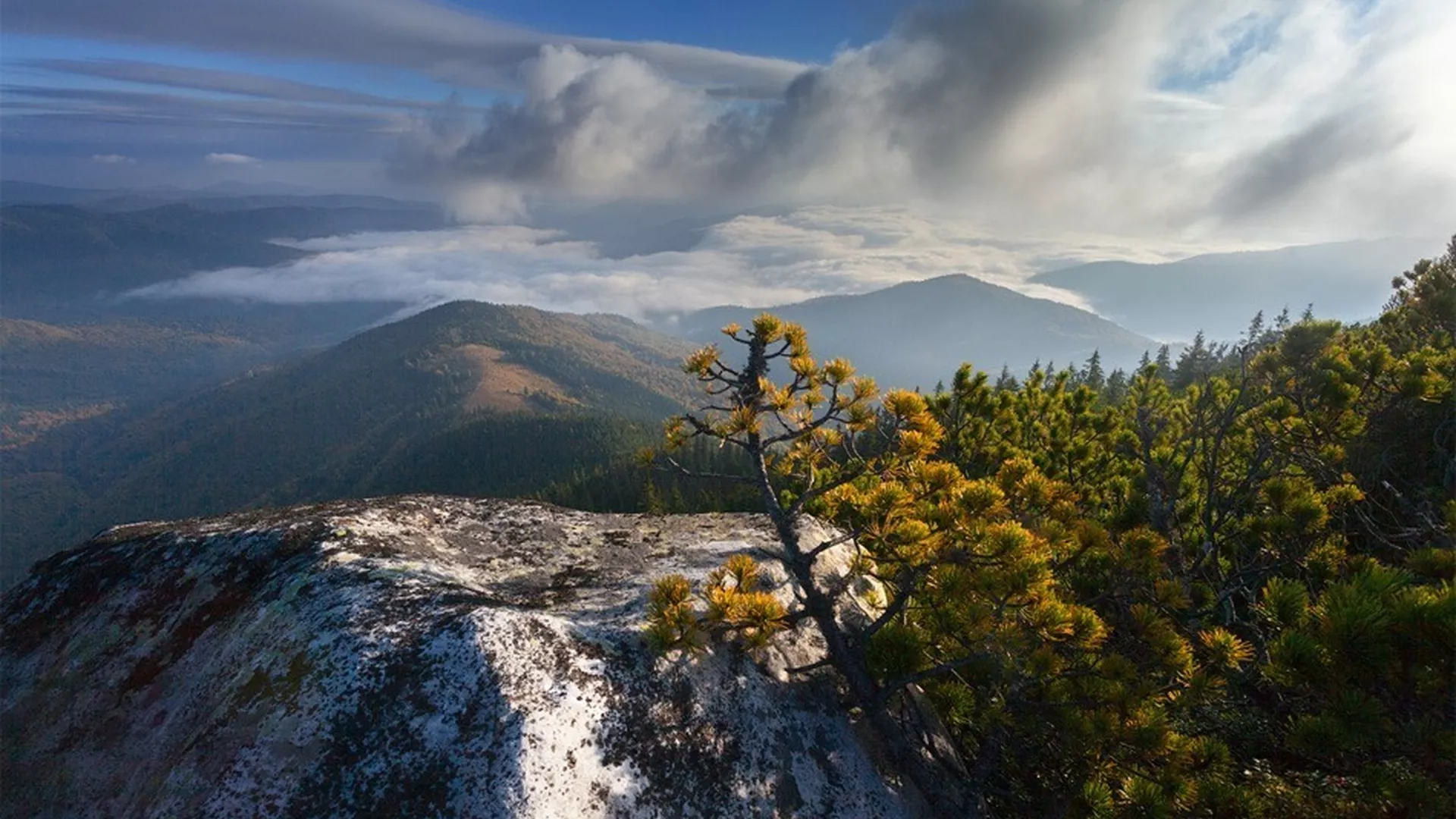 trip inroduction image