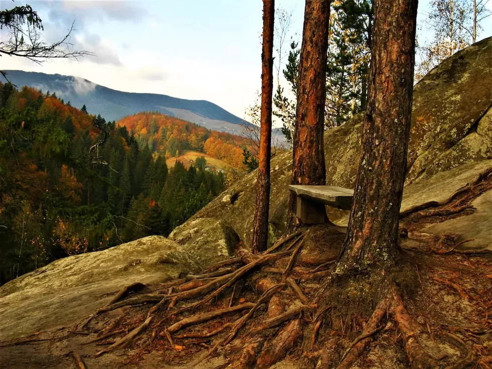 travel program image