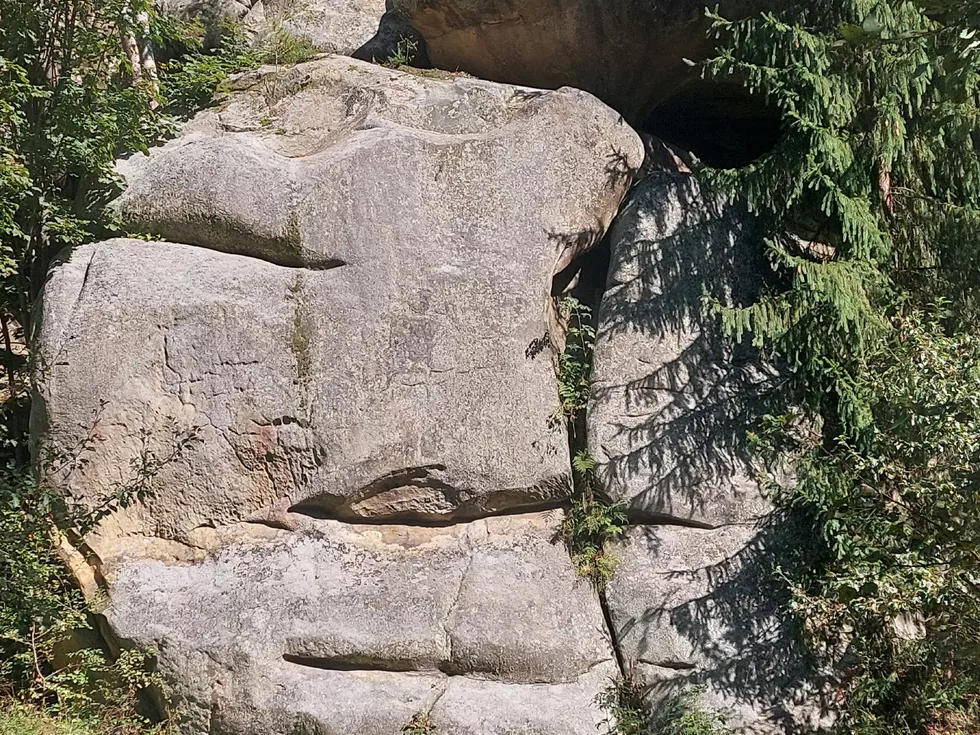 travel program image