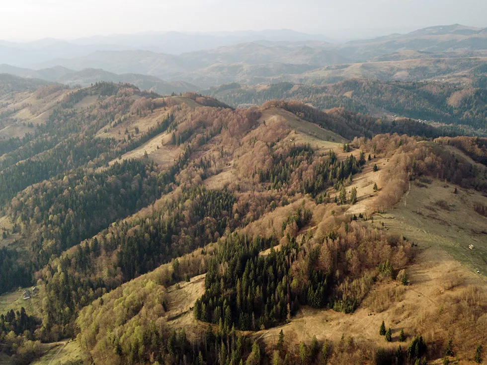 travel program image