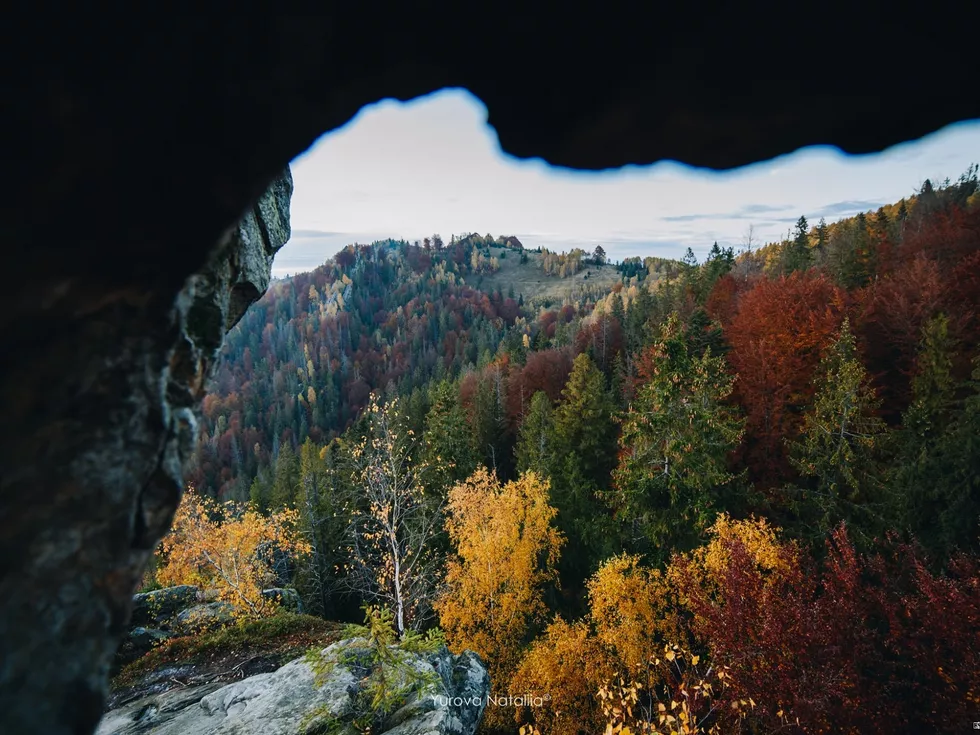 travel program image