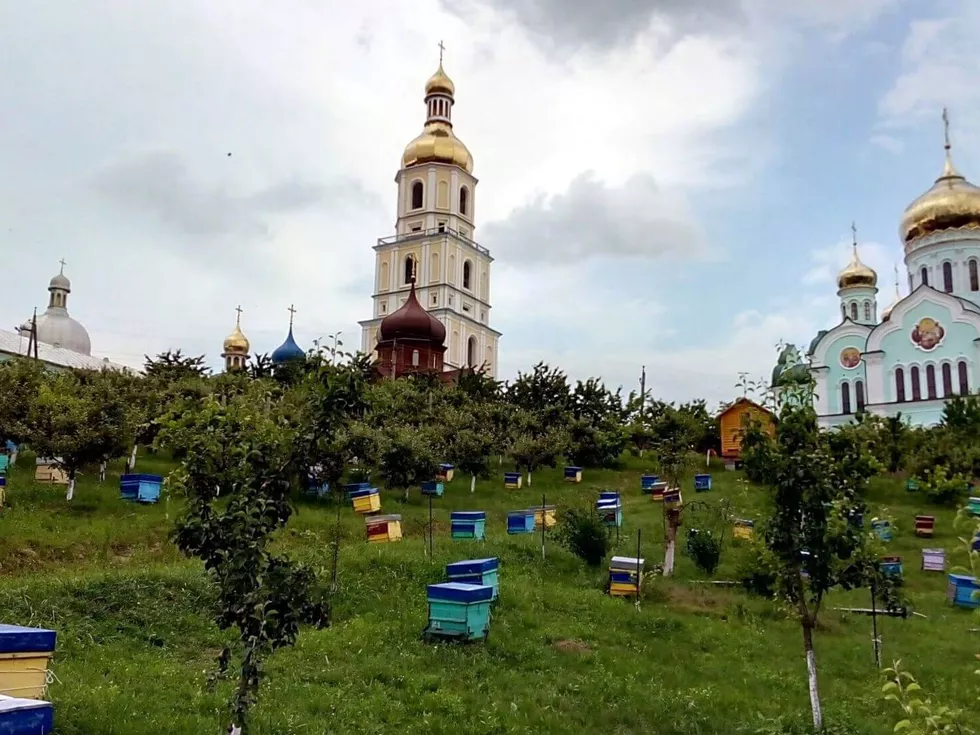 travel program image