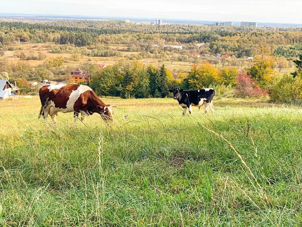 travel program image