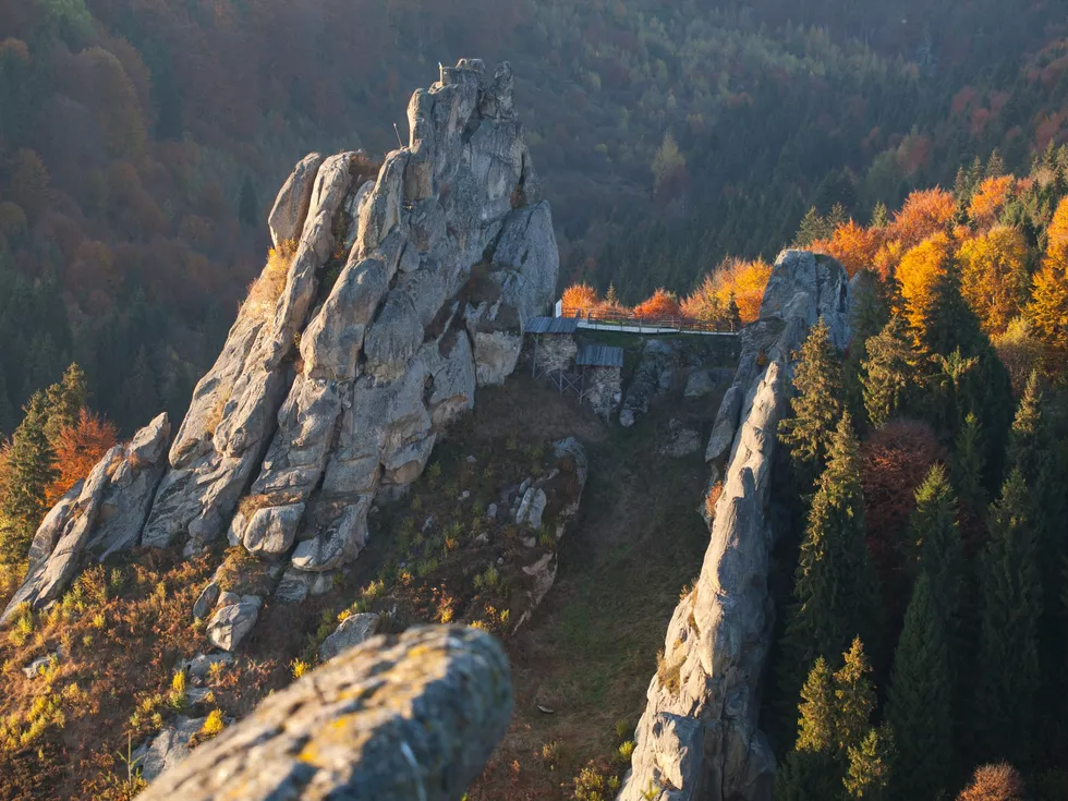 travel program image