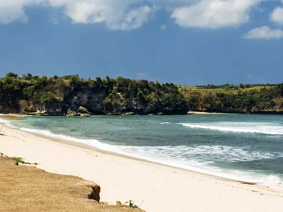 travel program image