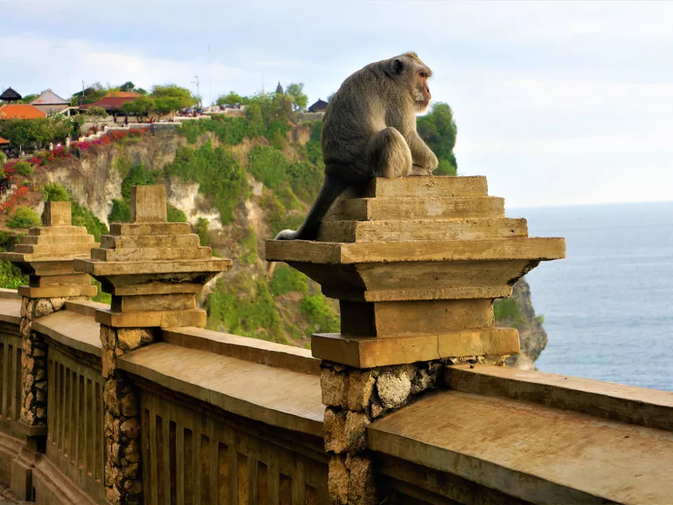 travel program image