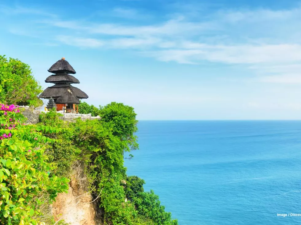 travel program image