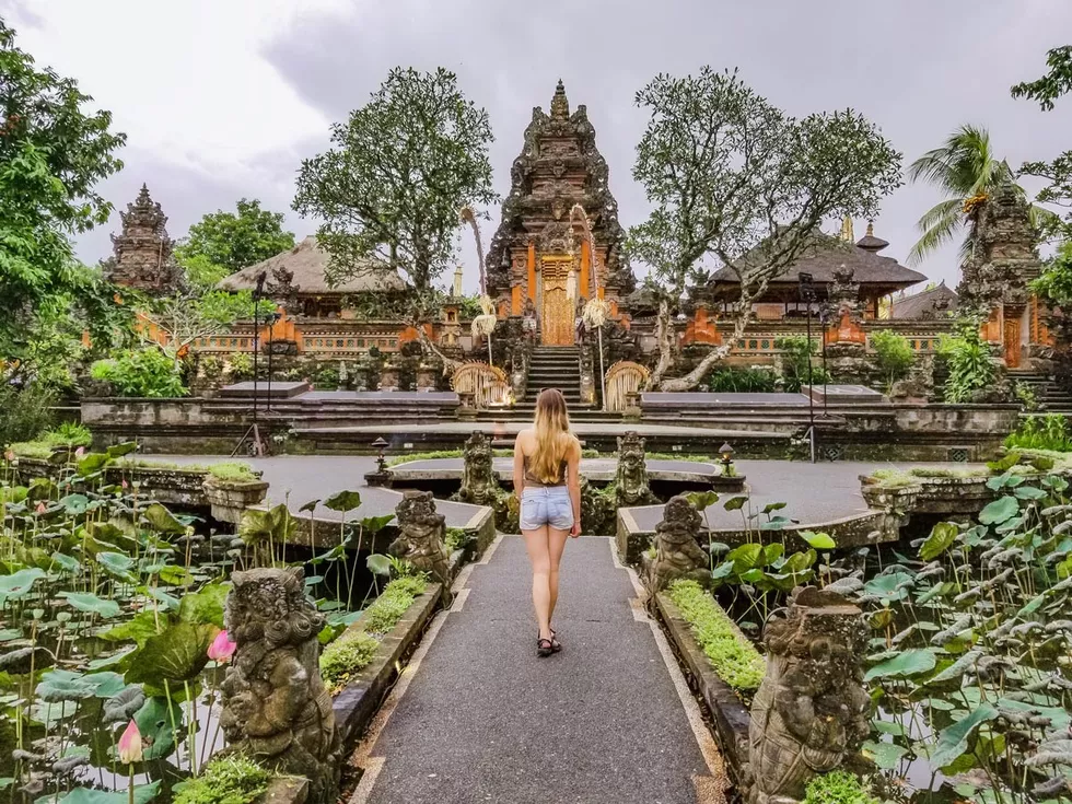 travel program image