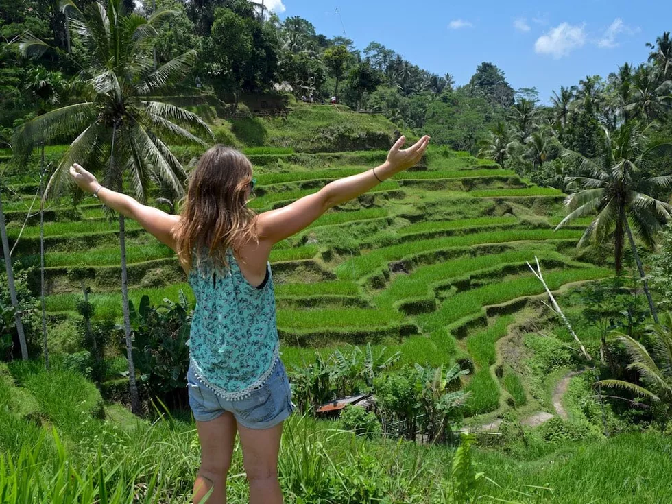 travel program image