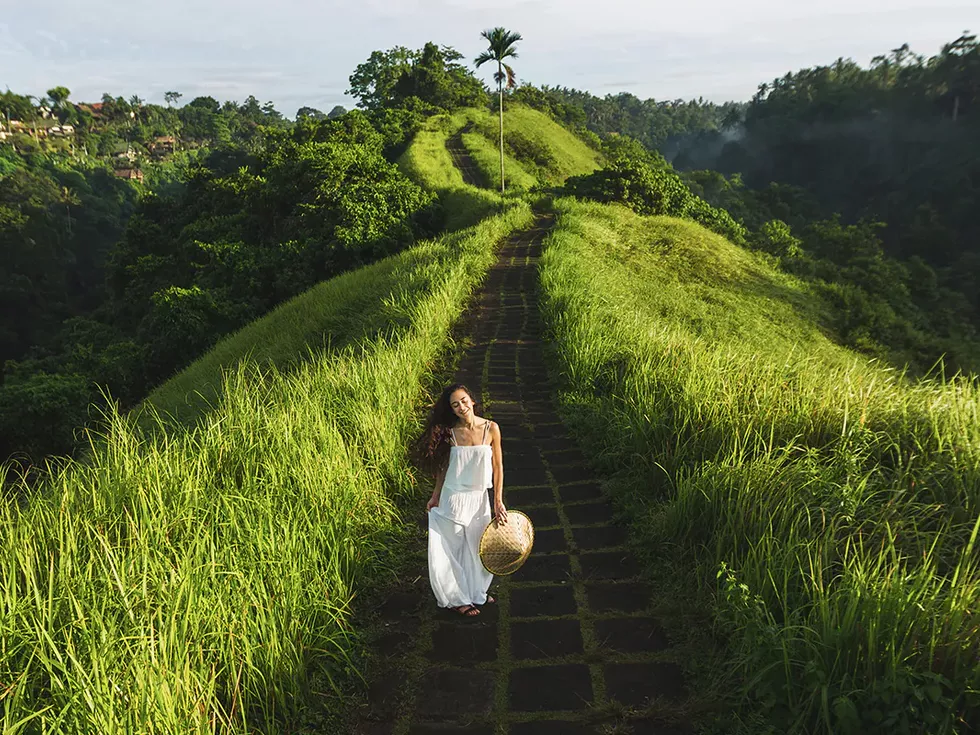 travel program image