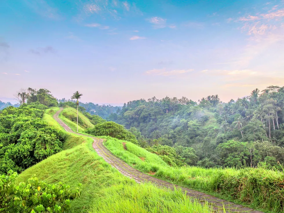 travel program image
