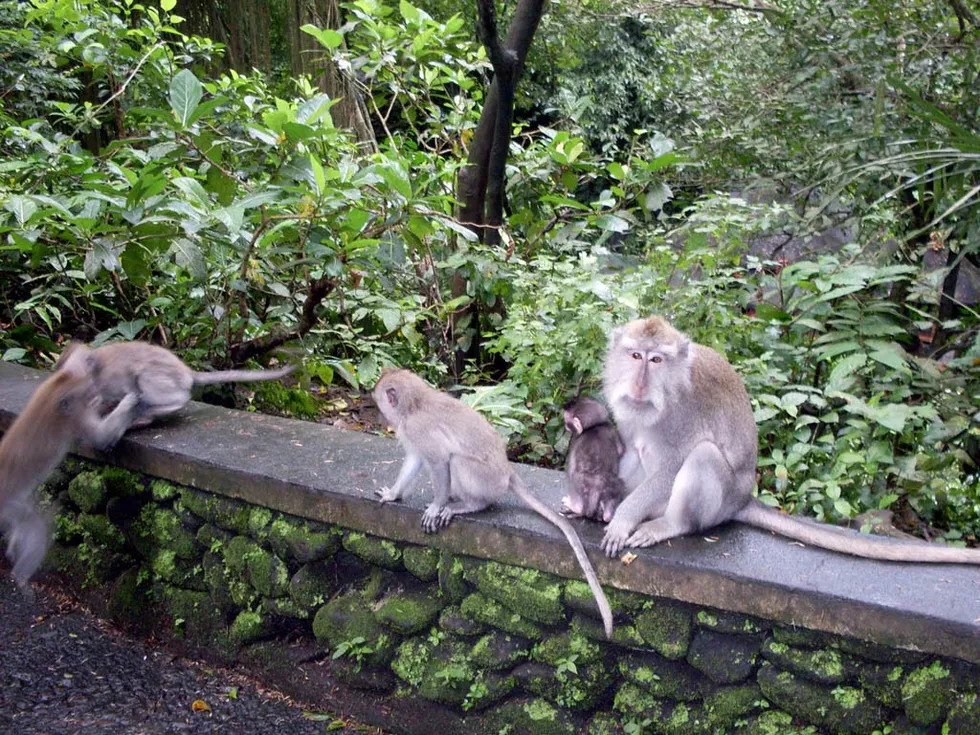 travel program image