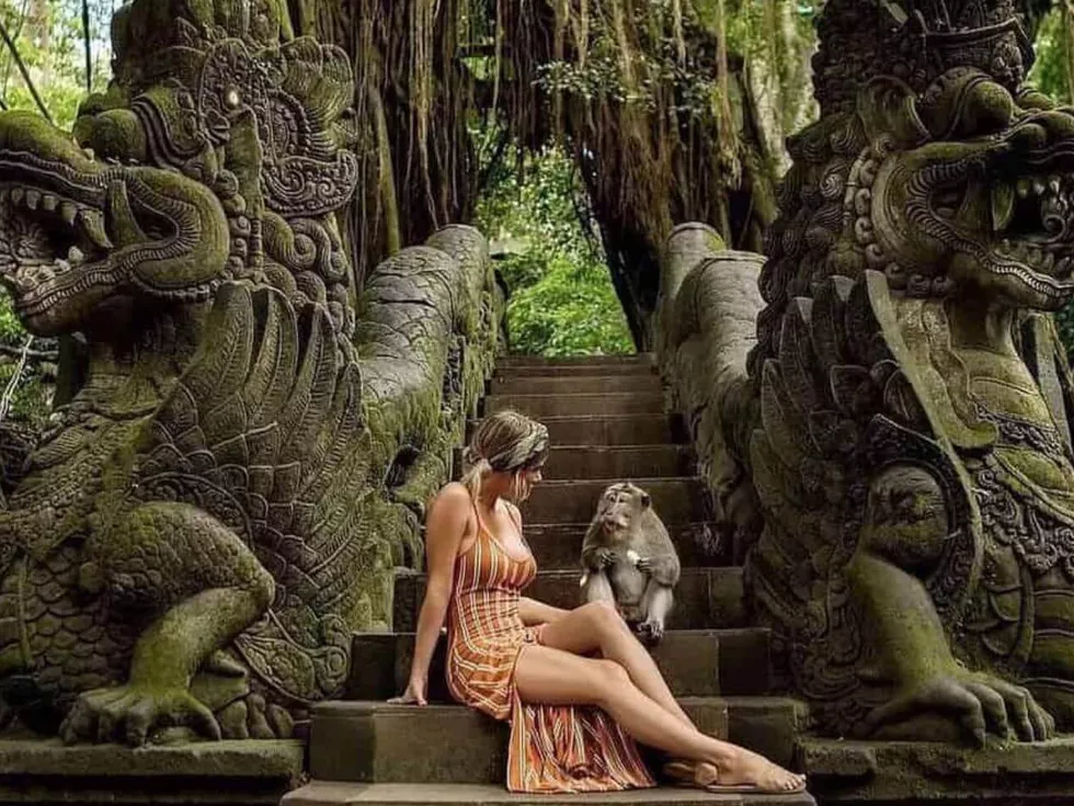 travel program image