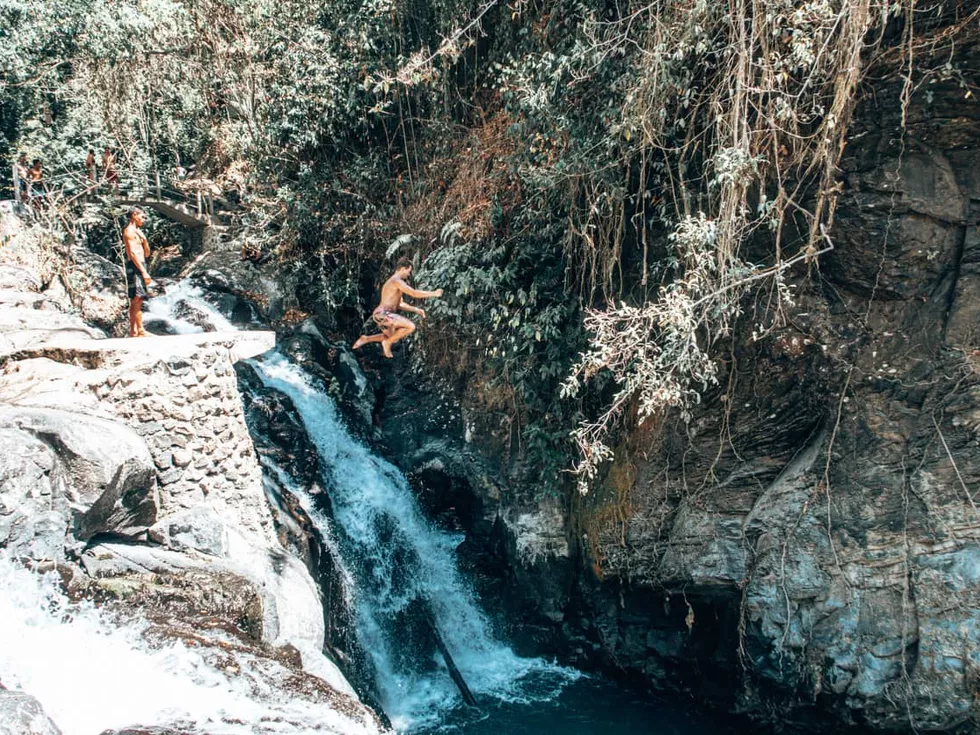 travel program image
