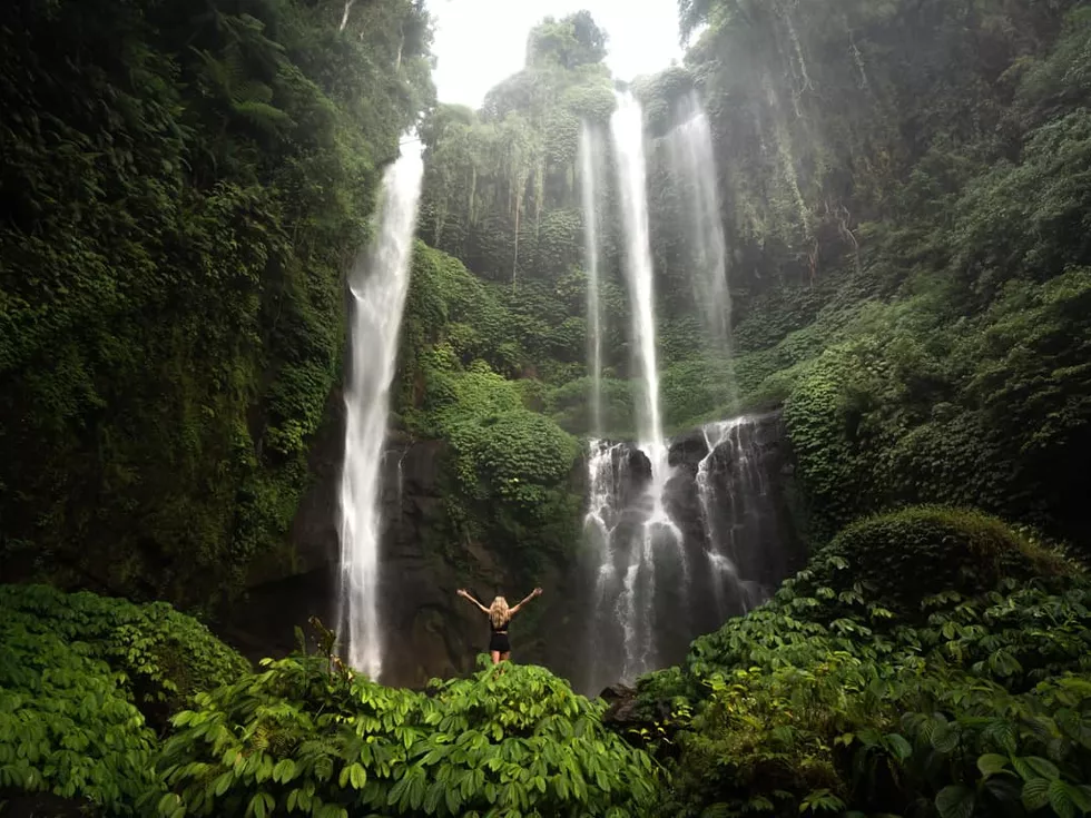 travel program image