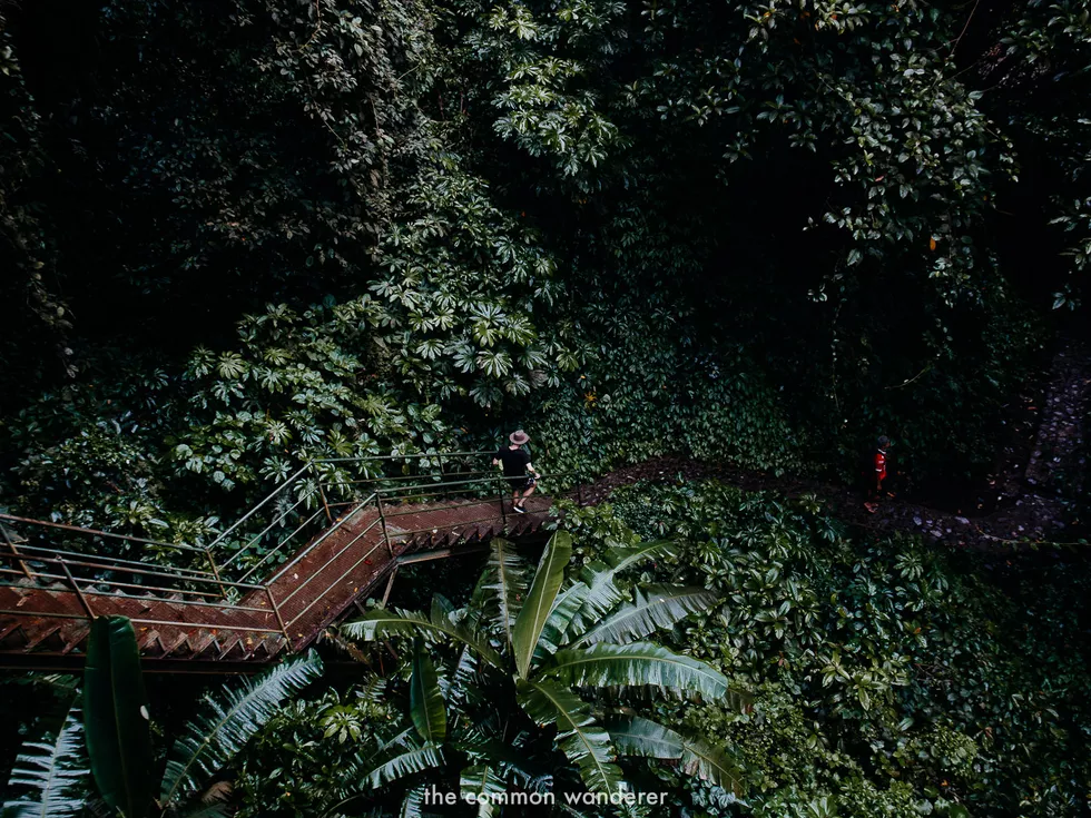 travel program image
