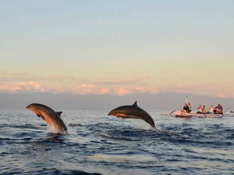 travel program image