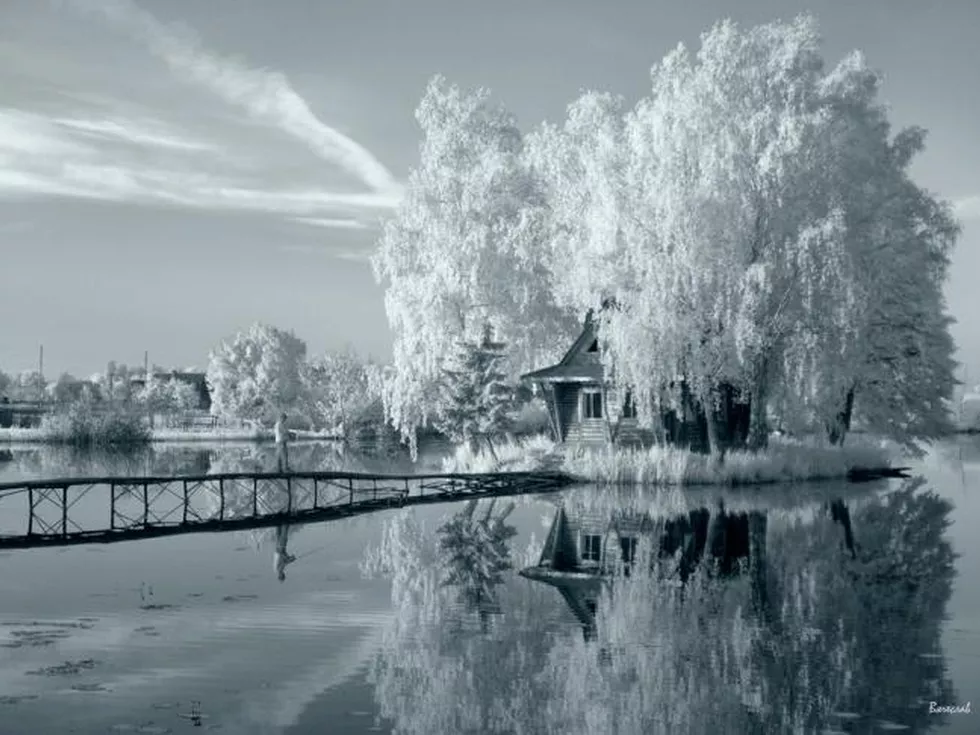 travel program image