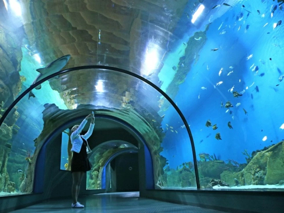 travel program image