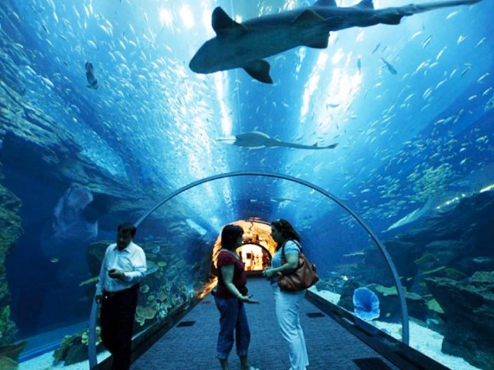 travel program image
