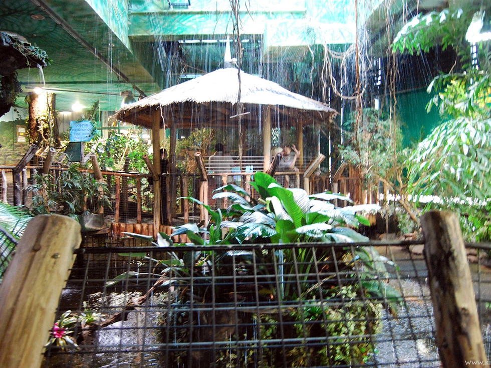 travel program image