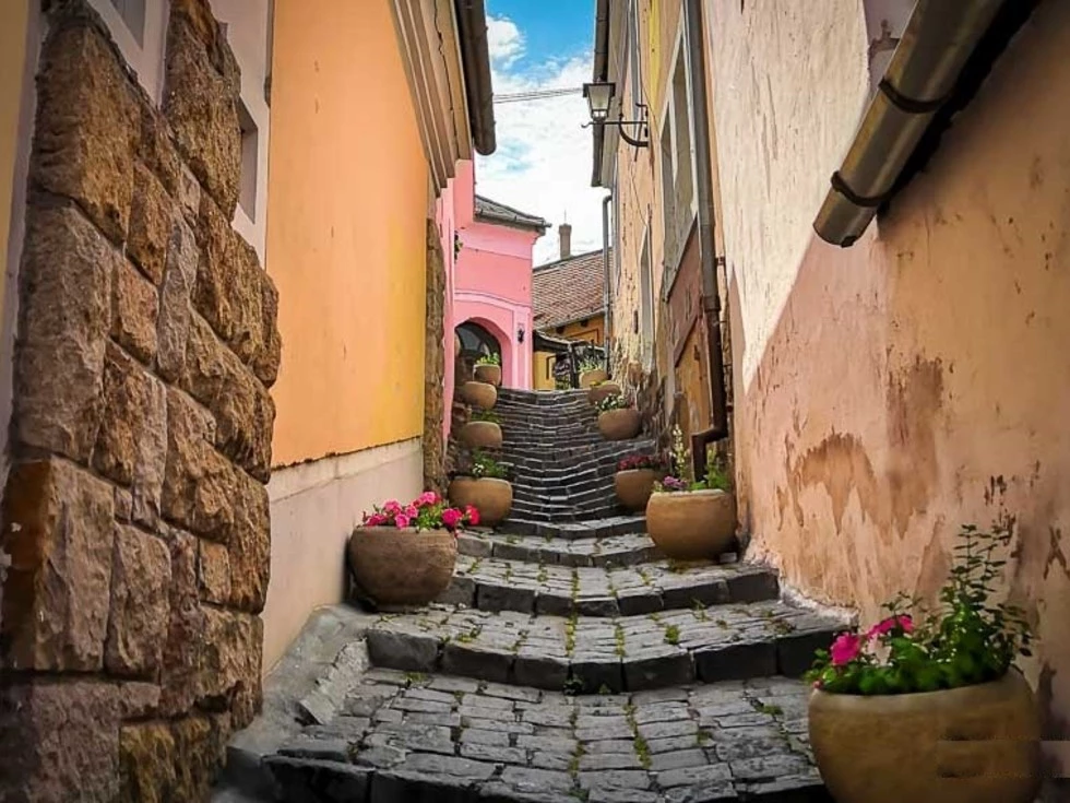 travel program image